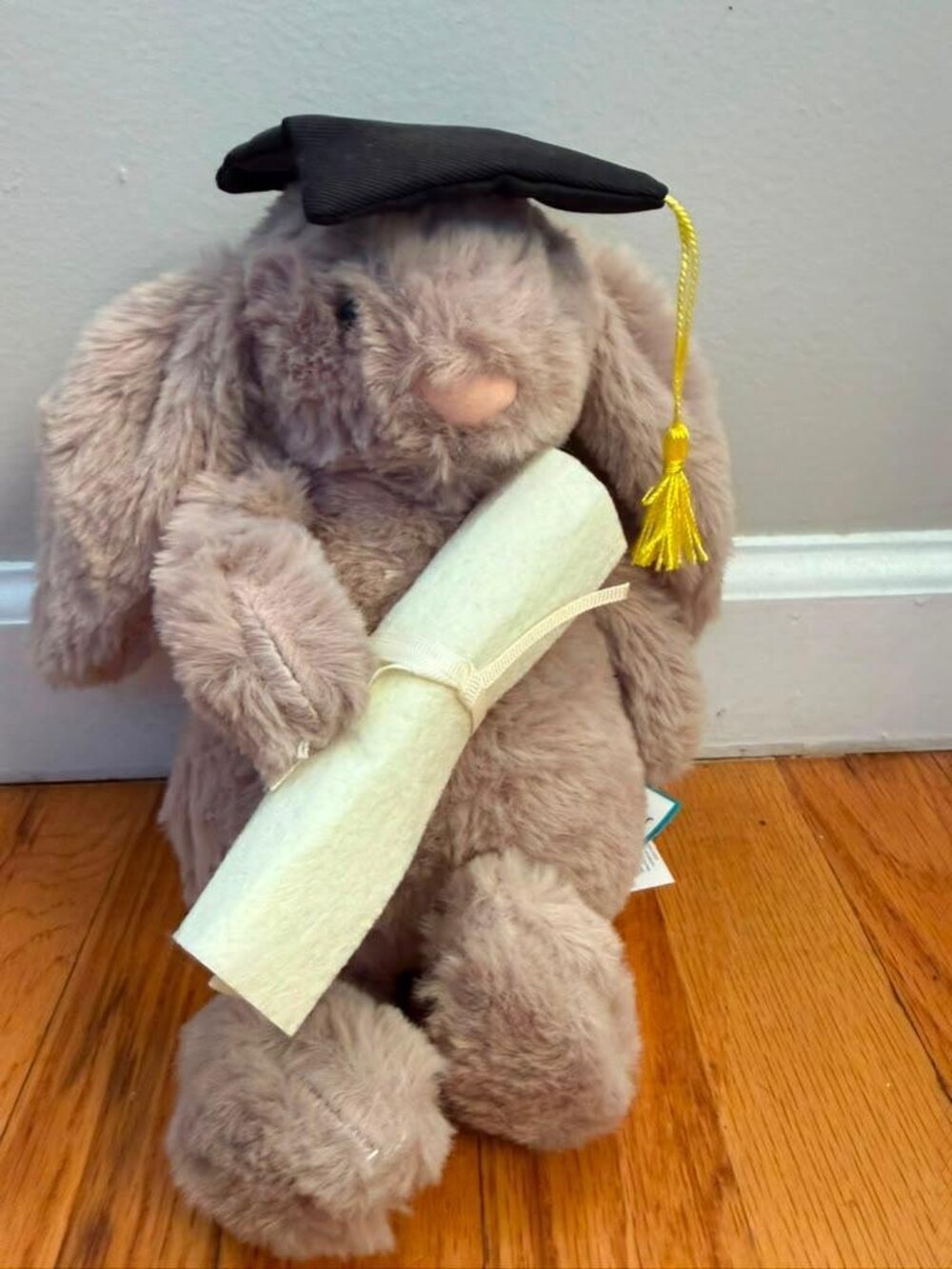 Jellycat Graduation Bunny Plush | Grey Bunny with Mortarboard Cap & Diploma